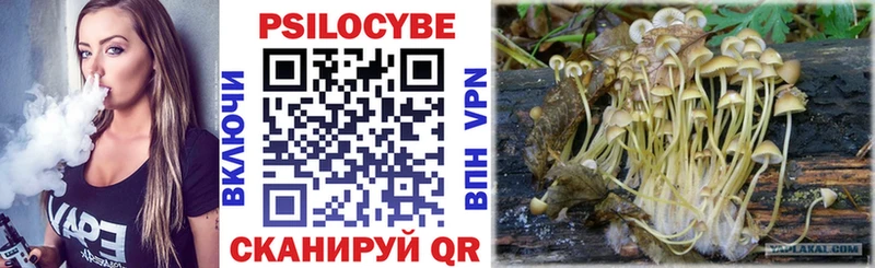 Галлюциногенные грибы Psilocybe  купить наркотик  Добрянка 